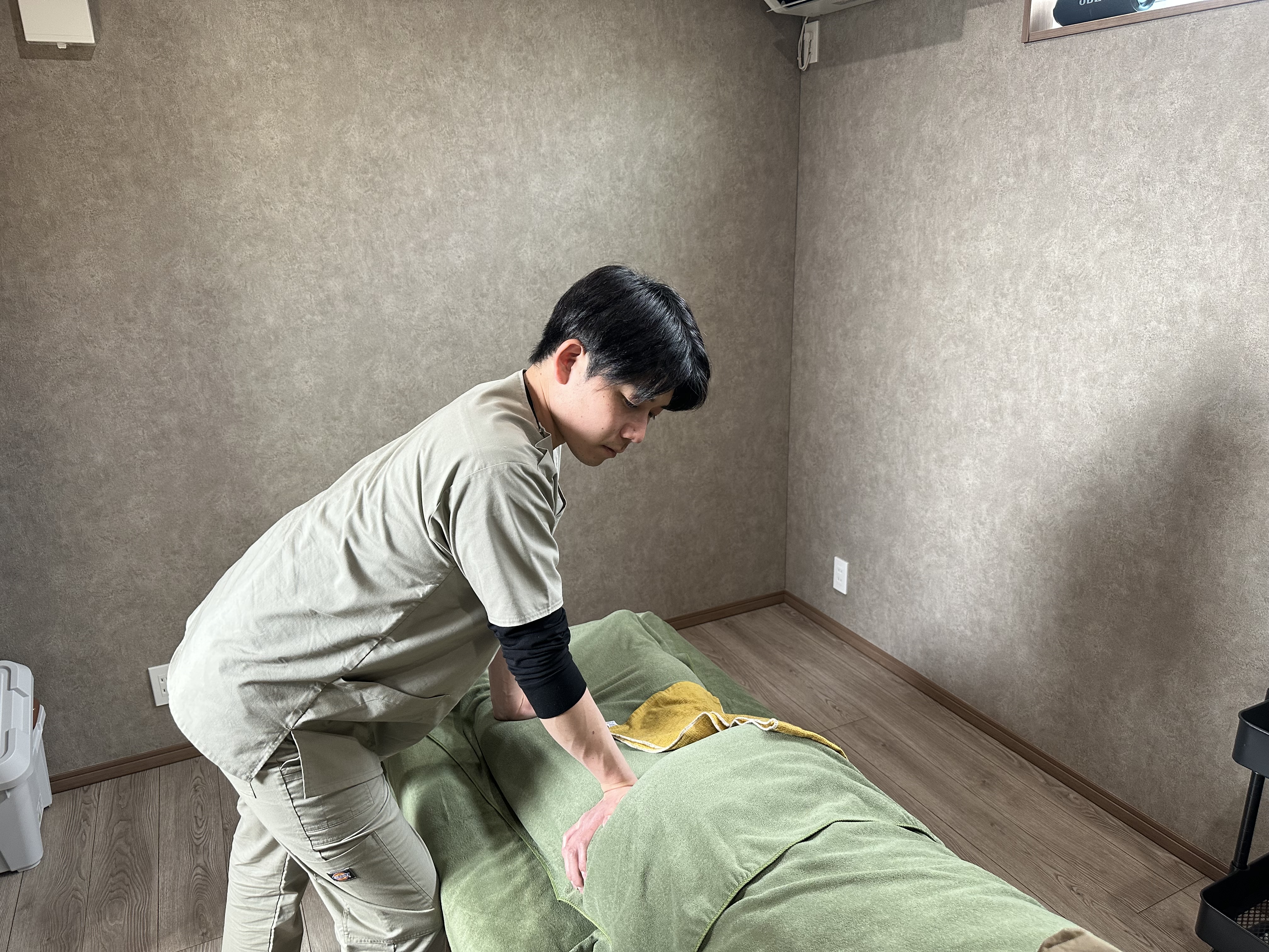 料理の写真