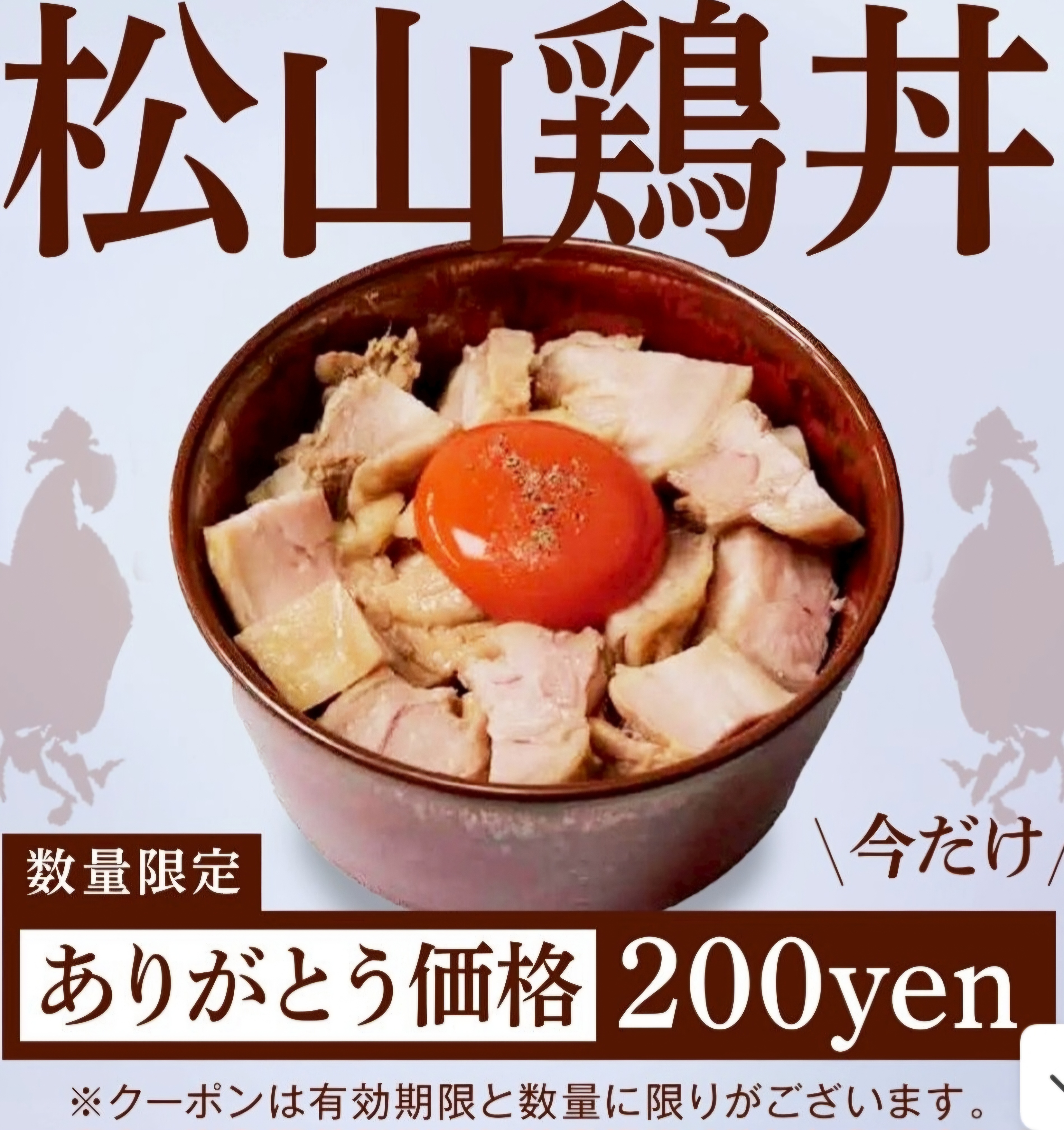 料理の写真