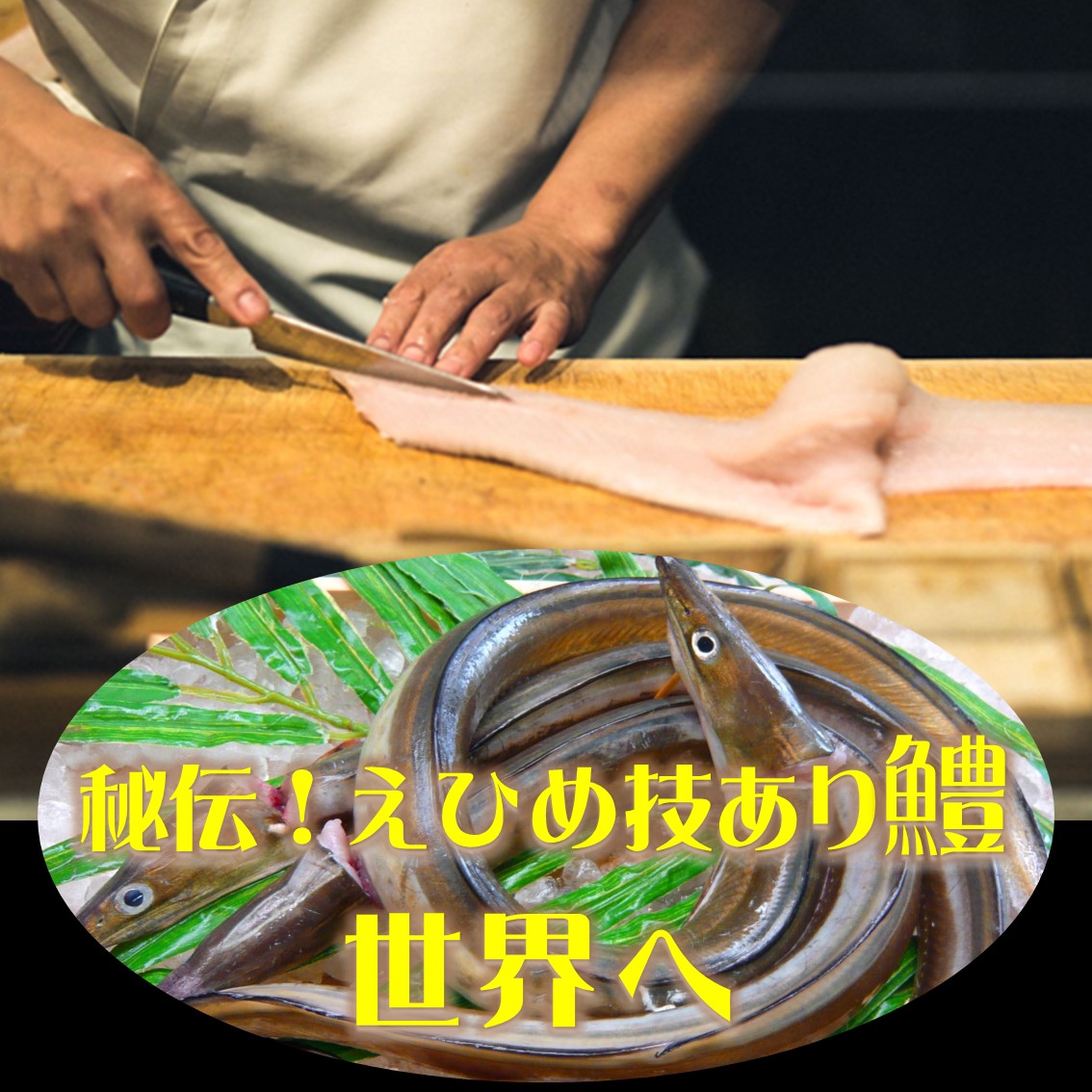 プレス写真