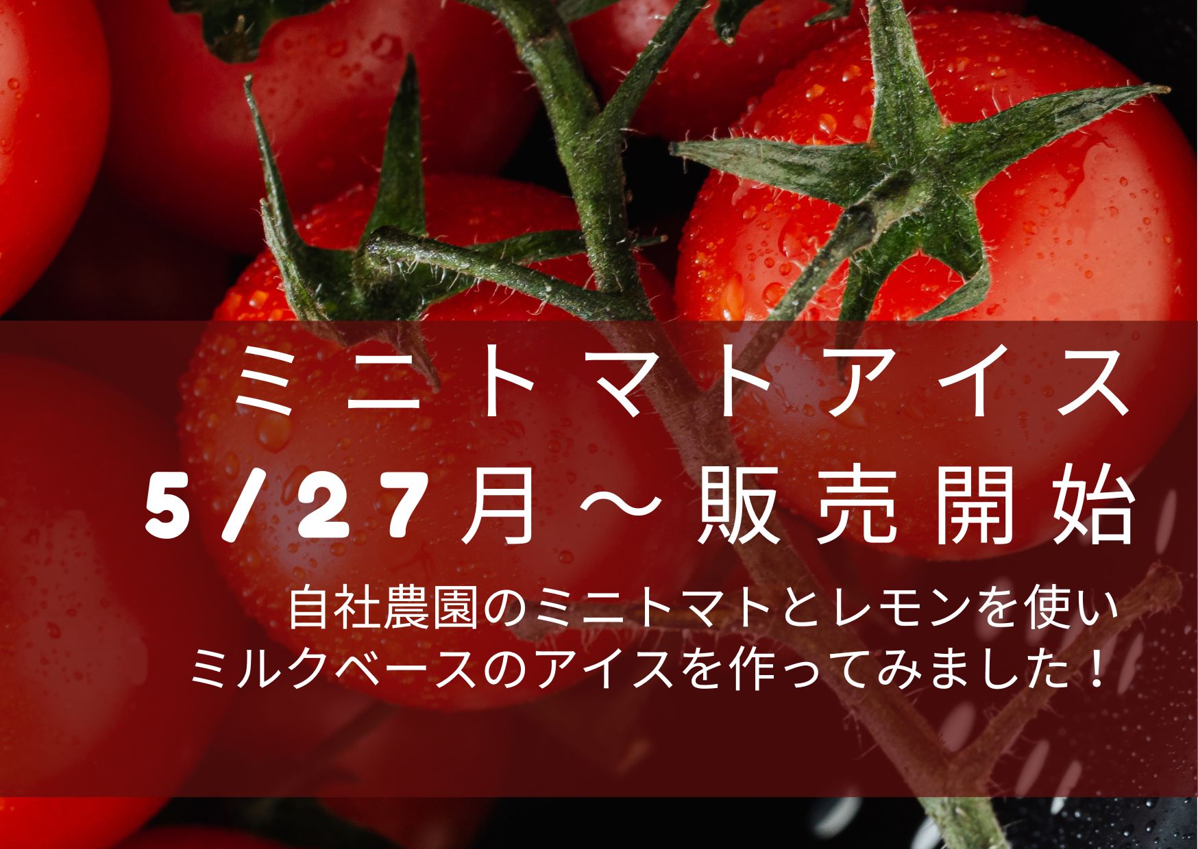 プレス写真