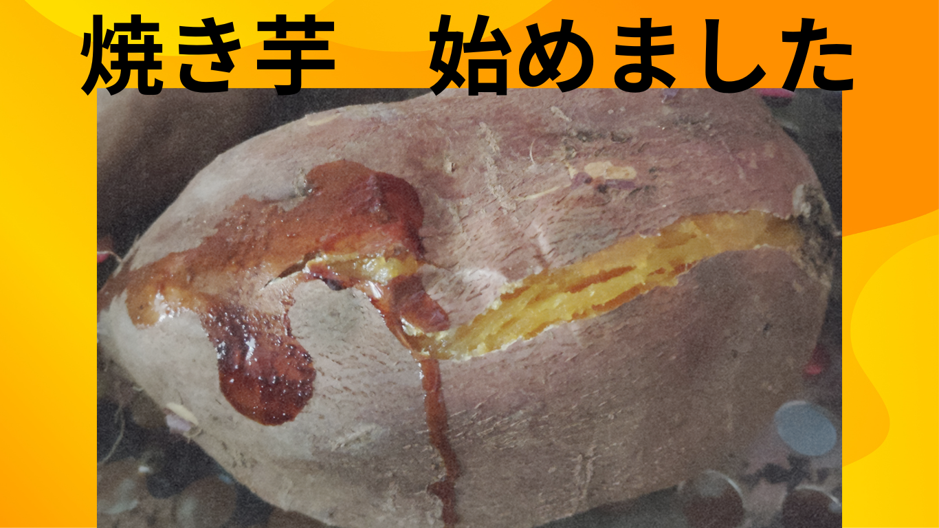 プレス写真